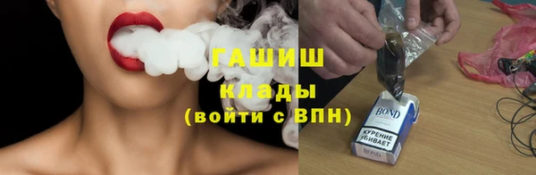 прущие грибы Абаза
