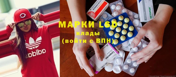 прущие грибы Абаза